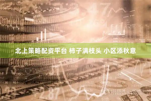 北上策略配资平台 柿子满枝头 小区添秋意