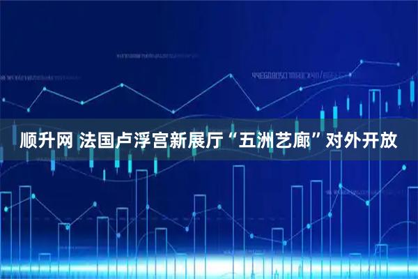 顺升网 法国卢浮宫新展厅“五洲艺廊”对外开放